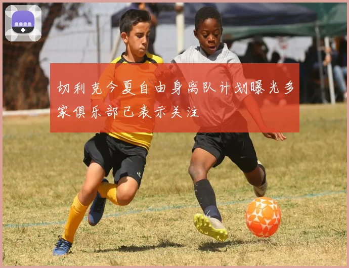 切利克今夏自由身离队计划曝光多家俱乐部已表示关注