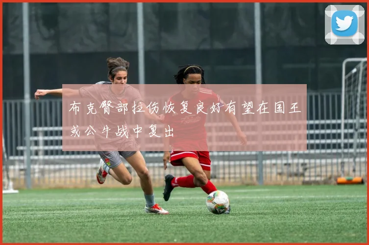 布克臀部拉伤恢复良好有望在国王或公牛战中复出